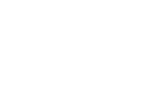 traffic_wize Logo