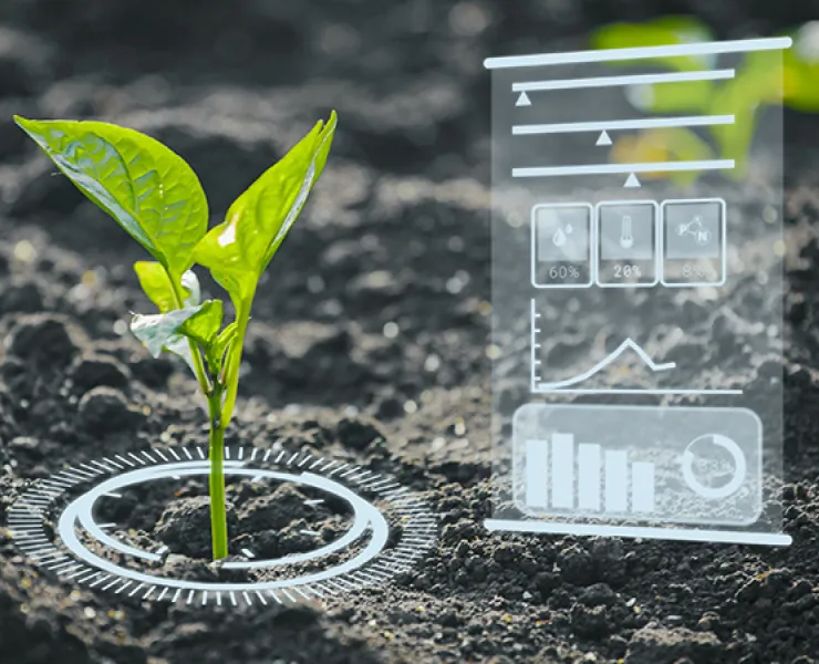 Agriculture
