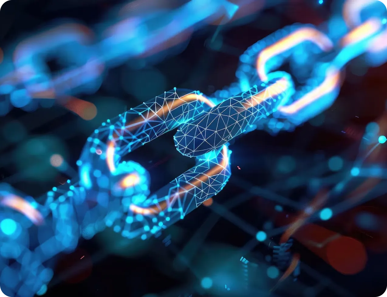 multi chain expertice